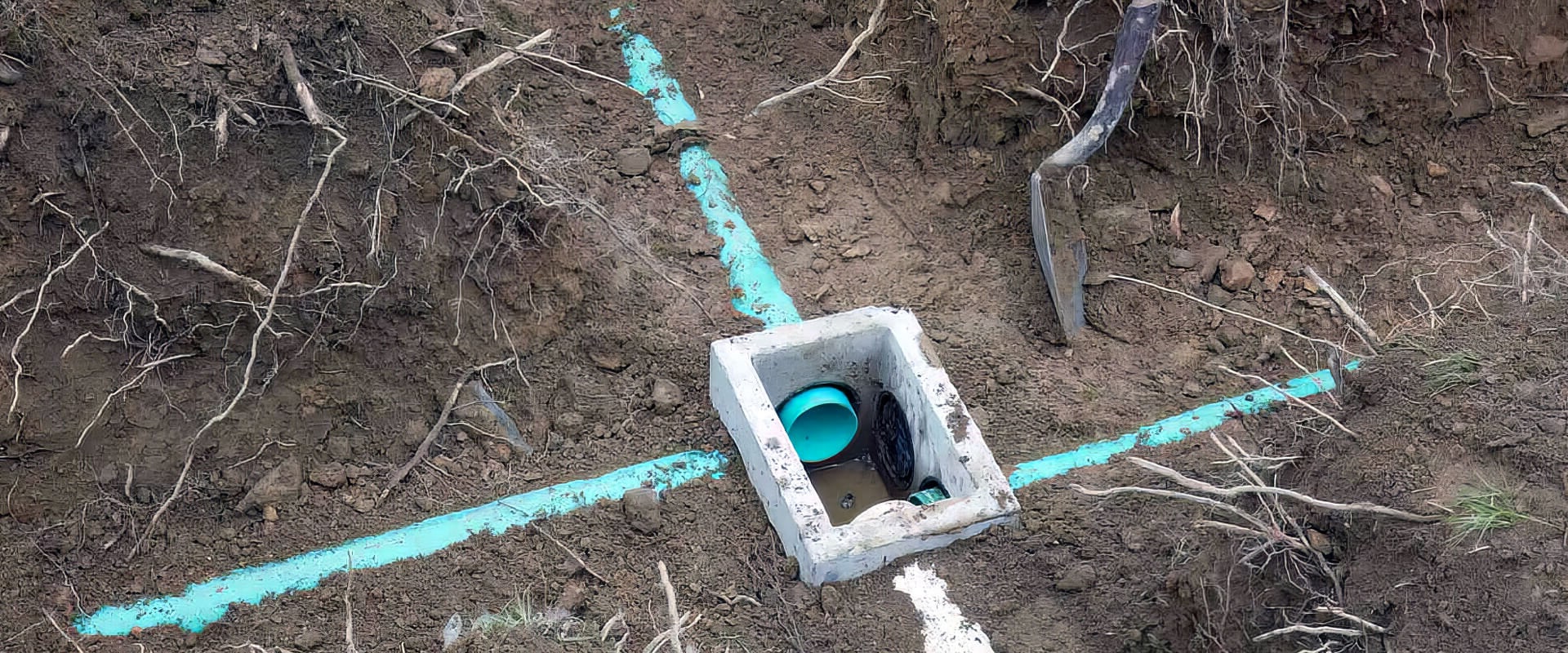 The Importance of Regular Septic Tank Cleaning Without Pumping